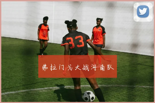 必赢官网登录网址 - 弗拉门戈大战河南队