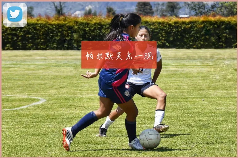 必赢官网登录网址 - 帕尔默灵光一现