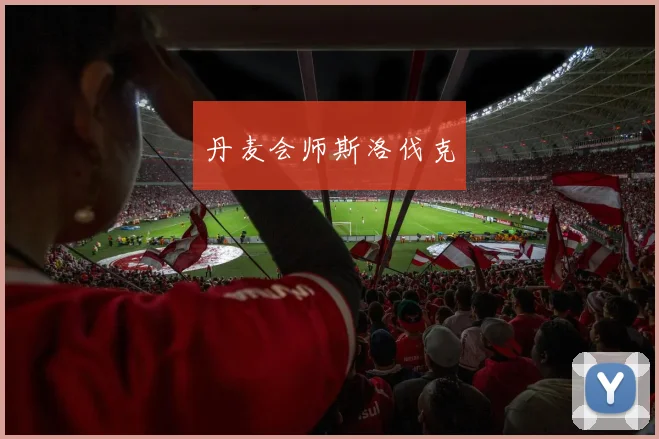 必赢官网登录网址 - 丹麦会师斯洛伐克