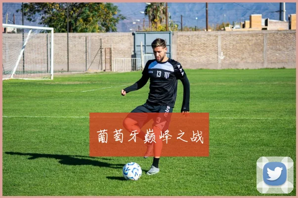 必赢官网登录网址 - 葡萄牙巅峰之战
