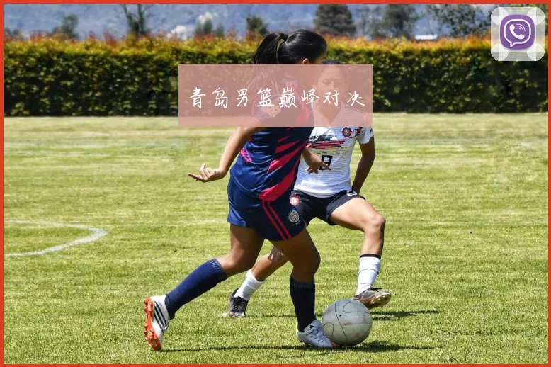 必赢官网登录网址 - 青岛男篮巅峰对决