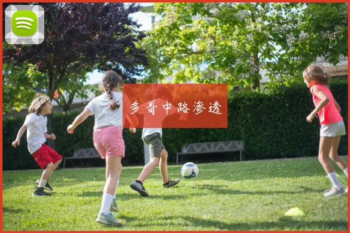 必赢官网登录网址 - 多哥中路渗透