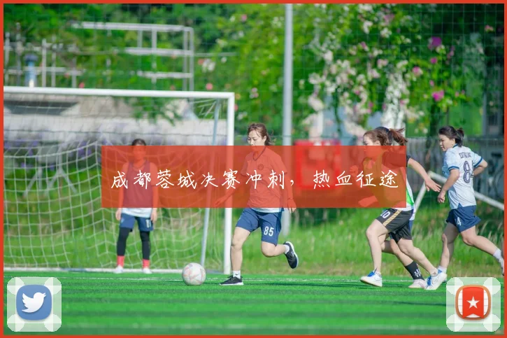 必赢官网登录网址 - 成都蓉城决赛冲刺，热血征途