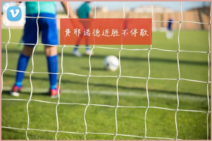 必赢官网登录网址 - 费耶诺德连胜不停歇