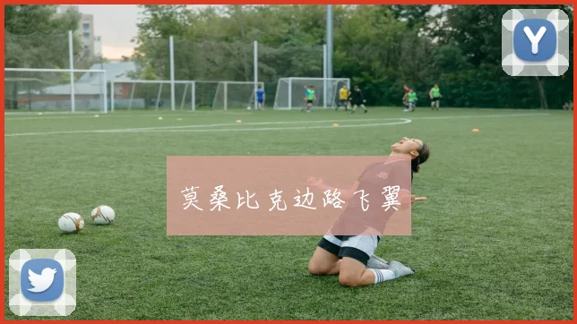 必赢官网登录网址 - 莫桑比克边路飞翼