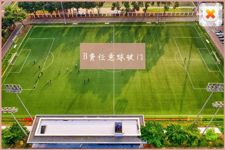 必赢官网登录网址 - B费任意球破门
