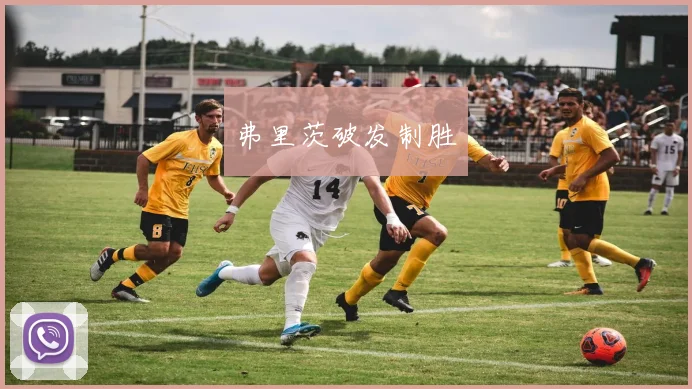 必赢官网登录网址 - 弗里茨破发制胜
