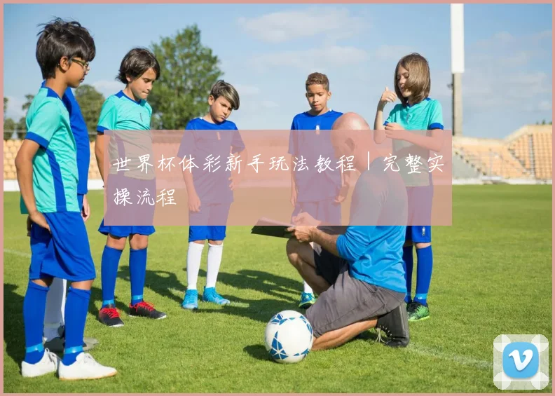 必赢官网登录网址 - 世界杯体彩新手玩法教程｜完整实操流程