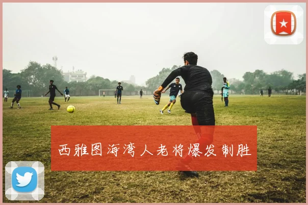 必赢官网登录网址 - 西雅图海湾人老将爆发制胜