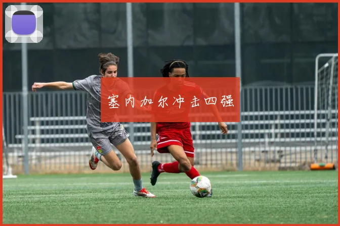 必赢官网登录网址 - 塞内加尔冲击四强