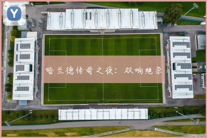 必赢官网登录网址 - 哈兰德传奇之夜：双响绝杀