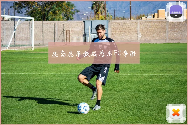 必赢官网登录网址 - 鹿岛鹿角激战悉尼FC争胜