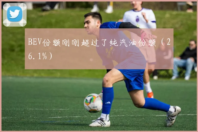 必赢官网登录网址 - BEV份额刚刚超过了纯汽油份额（26.1%）
