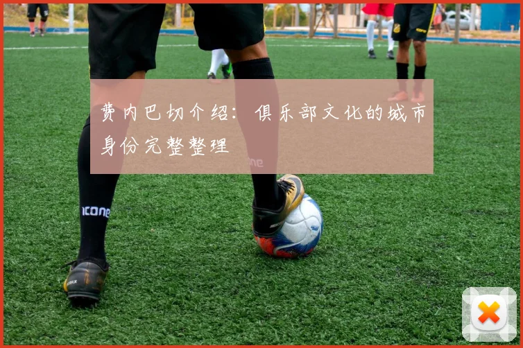 费内巴切介绍:俱乐部文化的城市身份完整整理