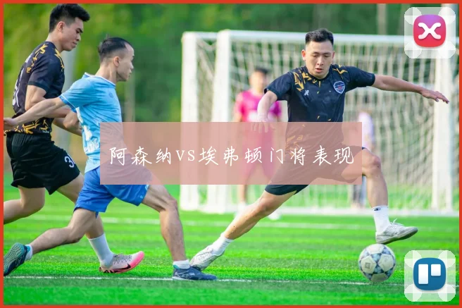 阿森纳vs埃弗顿门将表现