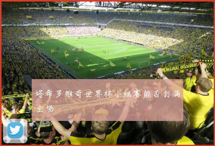 塔希罗维奇世界杯小组赛能否打满全场